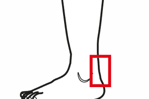 Tallonite